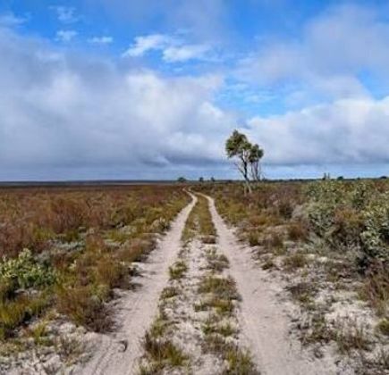 Little Desert National Park 1