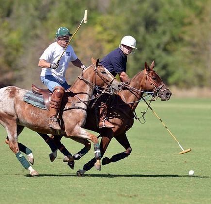 Fairfield Polo Club 1