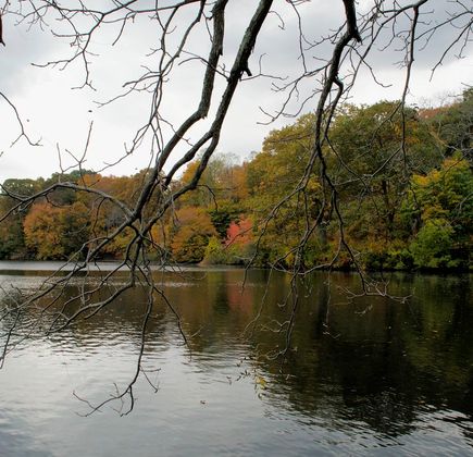 Avalon Park & Preserve 1
