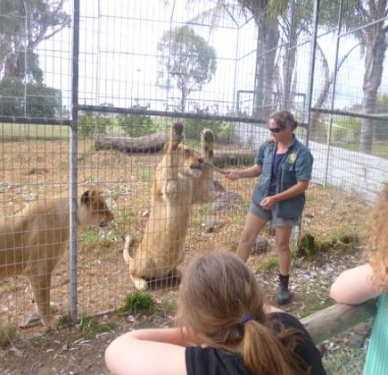 Darling Downs Zoo 1