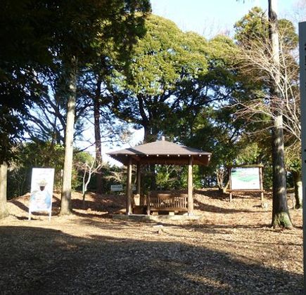 Kazurayama Castle Ruins 1