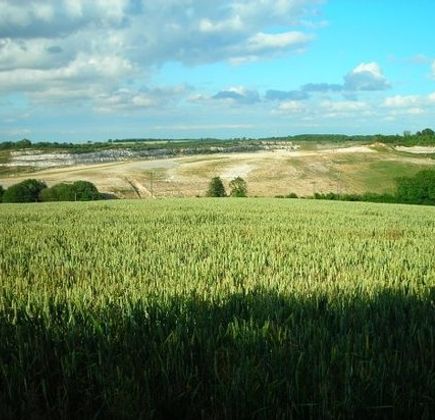 Wicken Fen National Nature Reserve 1