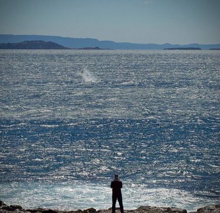 Bass Point Reserve 1