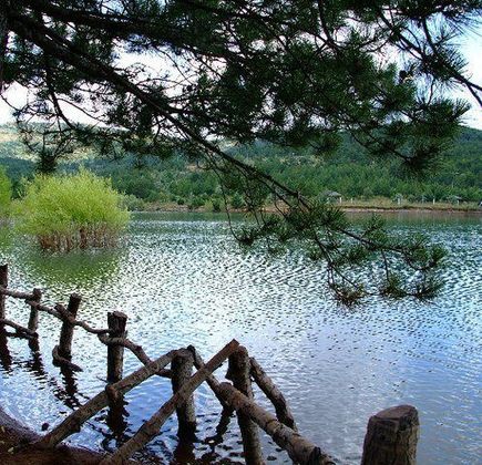 Yozgat Camligi Milli Park 1