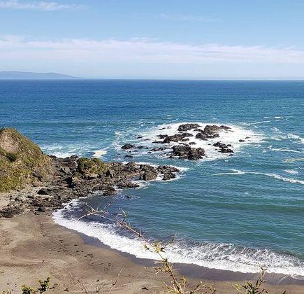 Reserva Punta Curinanco 1