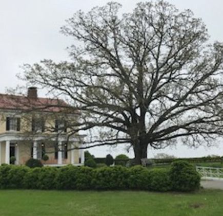 P. Allen Smith's Garden Home 1