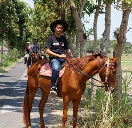 Bale Kuda Stable 1