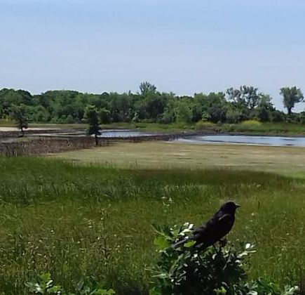Cosumnes River Preserve 1
