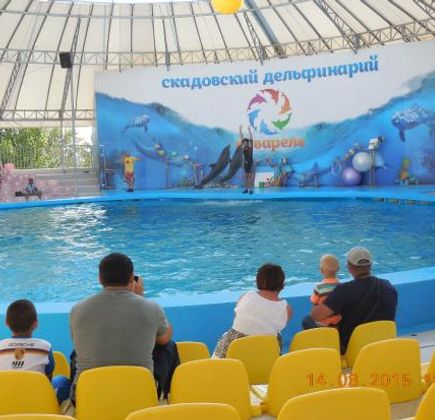 Dolphinarium Akvarel 1