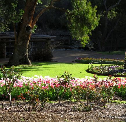 Araluen Botanic Park 1