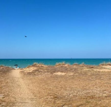 Dune di Casalbordino 1