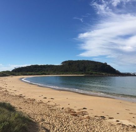 Broulee Island Walk 1