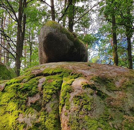 Naturpark Blockheide 1