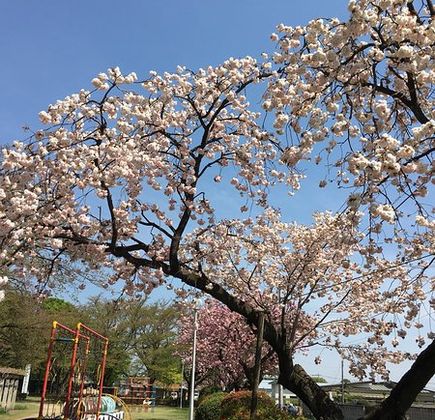 Shironouchi Park 1