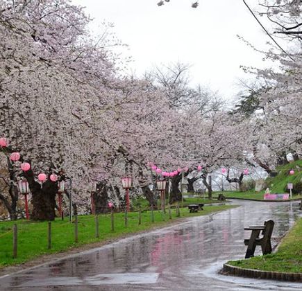 Eboshiyama Park 1