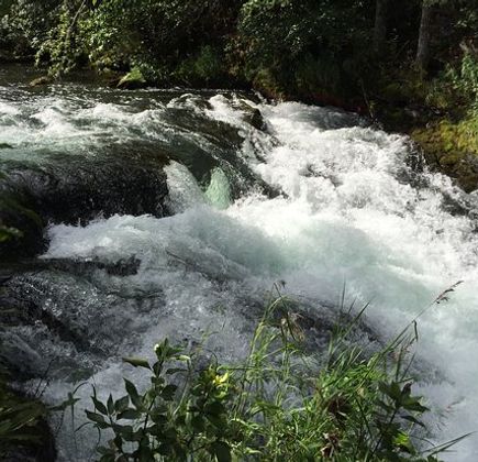 Russian River Falls 1