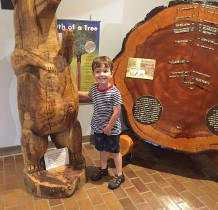 Arkansas Museum of Natural Resources 1