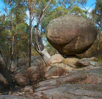 Girraween National Park 1