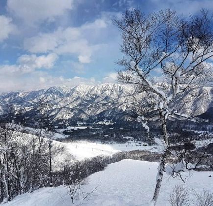 Tsugaike Kogen 1