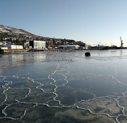 Bay Seroglazka 1