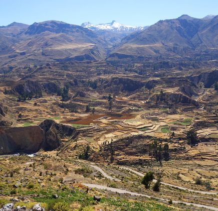 Colca Canyon 1