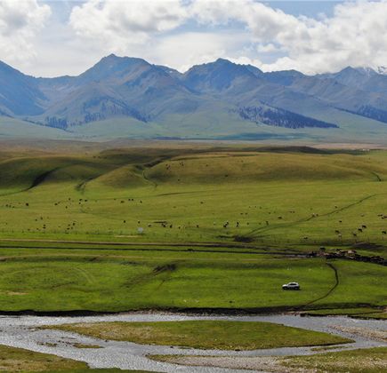 Nalati Grassland 1