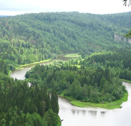 Usva River 1