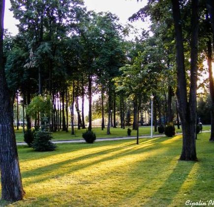 Parcul Copou 1