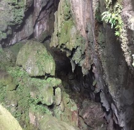 Daylight Hole Cave 1