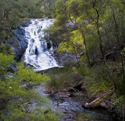 Bibbulmun Track 1