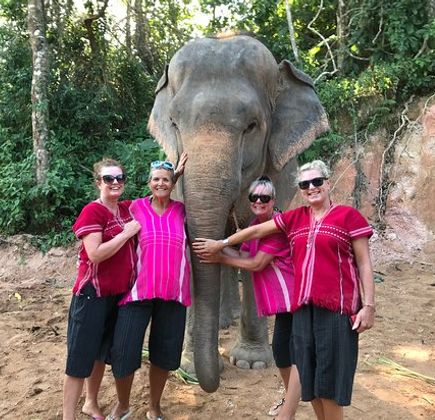 Elephant Family Phuket 1
