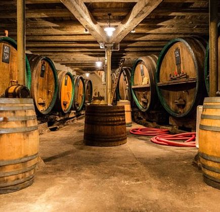 Domaine Dussourt 1
