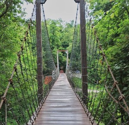 Khao Kradong Forest Park 1