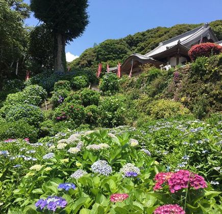 Mt. Sugitake Fudoson Daishoji Temple 1