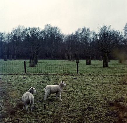 Provinciaal Groendomein De Averegten 1