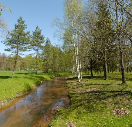 Resort Park Staraya Russa 1