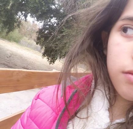 Olivo Cuatricentenario 1