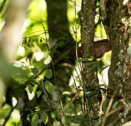 Parque Provincial Urugua-i 1