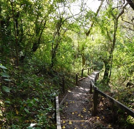 Parque Nacional Ciervo de los Pantanos 1