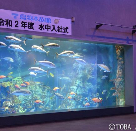 Toba Aquarium 1