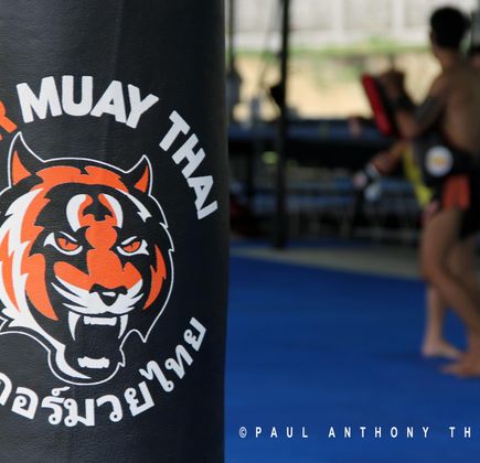 Tiger Muay Thai And MMA Training Camp, Chiang Mai 1