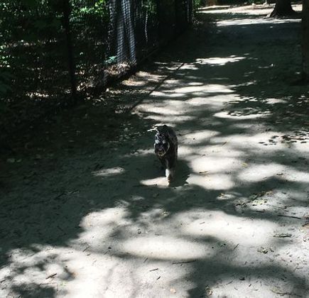 Timber Creek Park 1