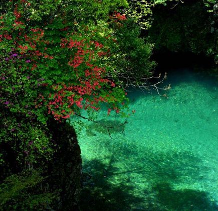 Niyodo River 1