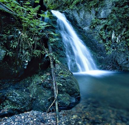 Sentiero Naturalistico Piave 1