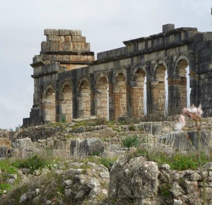 Volubilis 1