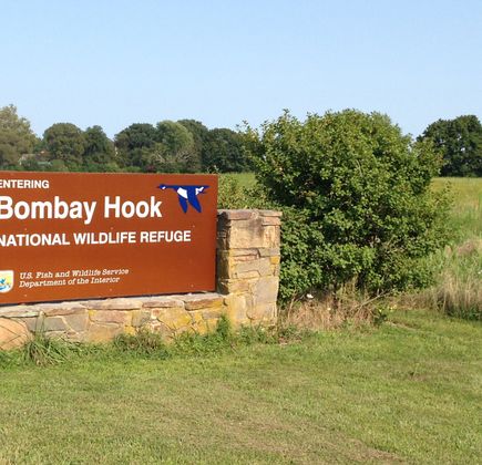 Bombay Hook National Wildlife Refuge 1