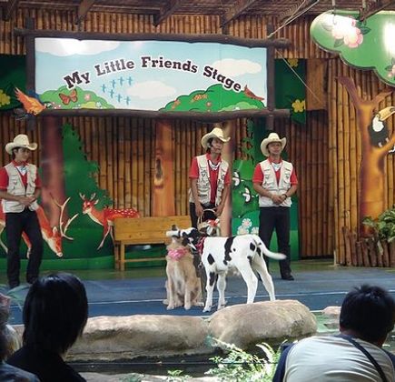 Farm Chokchai 1