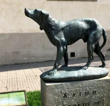 Monumento Al Cane Fido 1
