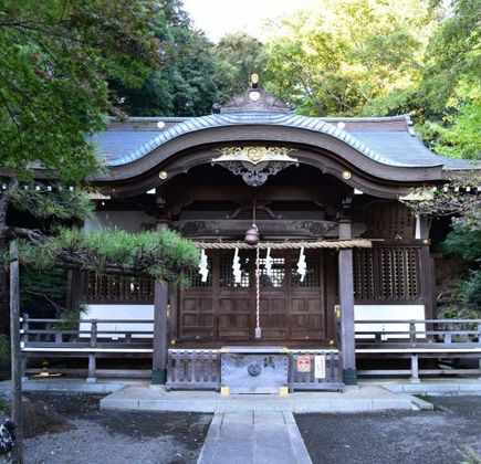 Tokyo Metropolitan Koganei Park 1