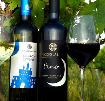 Azienda Agricola Poggio La Luna 1